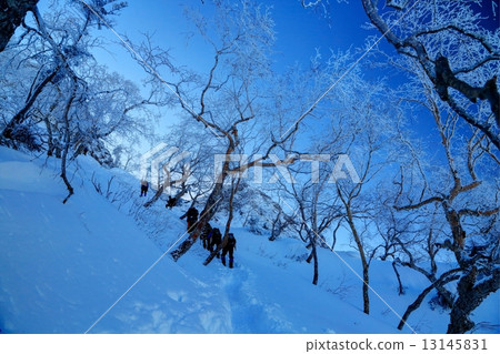 一排登山者去Yatsugatake / Jizo Ridge和Akaki峰頂看法 13145831