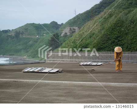 諾托鹽田 13146015