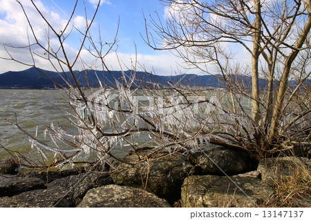 Spray ice of Lake Biwa Spray ice of Lake Biwa 13147137