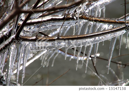 Spray ice of Lake Biwa Spray ice of Lake Biwa 13147138
