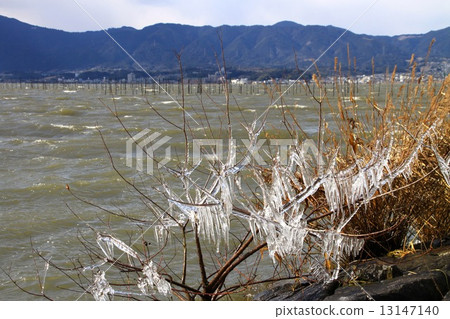 Spray ice of Lake Biwa 13147140