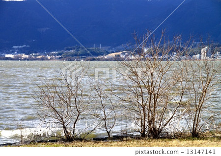 Spray ice of Lake Biwa Spray ice of Lake Biwa 13147141