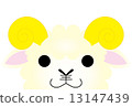 sheep  13147439