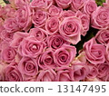 Bouquet of roses 13147495