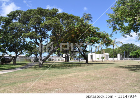 夏威夷阿拉莫阿納海灘5 13147934