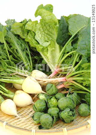 Winter vegetables 13149025