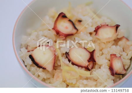 octopus rice  13149758