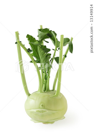 Kohlrabi 13149914