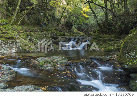 Red eyed falls 13150709