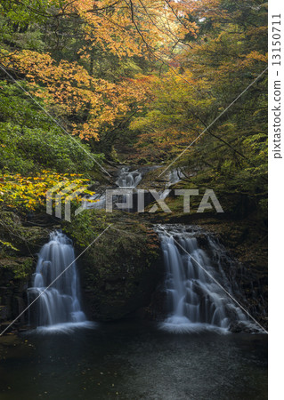 Red eyed falls 13150711