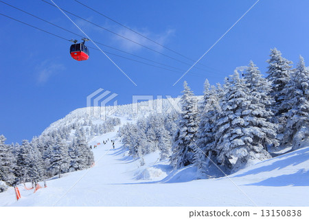 藏王溫泉滑雪場 13150838