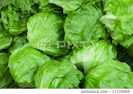 lettuce	 13150989