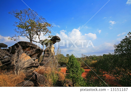 Mushroom stone at Pha Taem National Park in Ubon Ratchathani ,Thailand 13151187