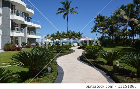 Hotel garden 13151863