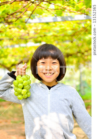 Girls enjoying grape hunting 13152365