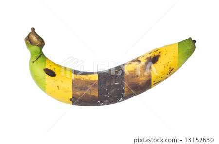 Banana Banana 13152630