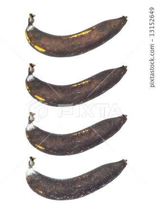 Banana Banana 13152649