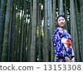Kimono Bamboo forest right 13153308