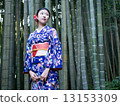 Kimono bamboo forest left 13153309