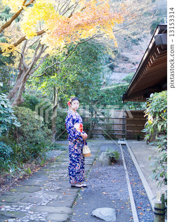Kimono bamboo grove autumn leaves 3 13153314