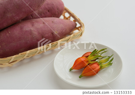 梔子果實和甘藷 梔子果實和甘藷 13153333