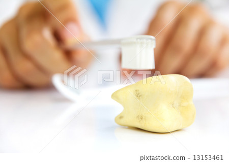 dental hygiene concept dental hygiene concept 13153461
