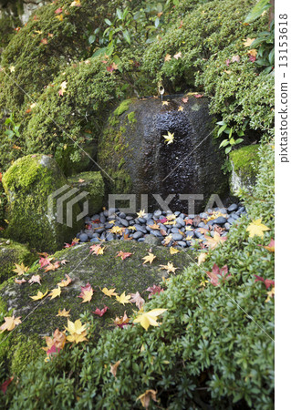 Autumn scenery Nara Temple 13153618