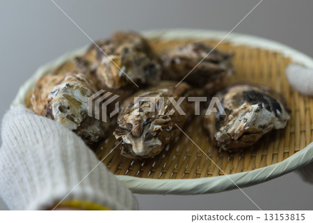 牡蠣 牡蠣 13153815