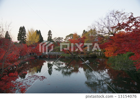 Eiken-do / Bentenbashi of autumn leaves Eiken-do / Bentenbashi of autumn leaves 13154076