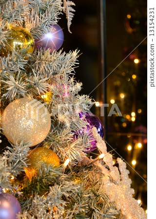 Tree 13154231