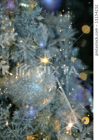 Christmas Christmas 13154232