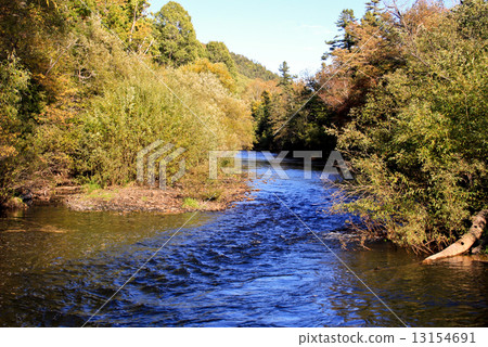 The mountain river The mountain river 13154691