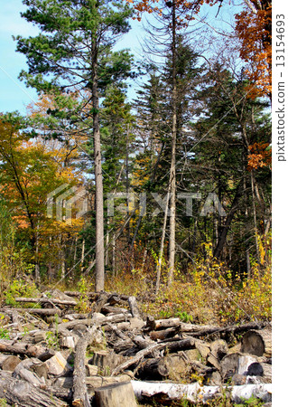 Negligence of people and the nature Negligence of people and the nature 13154693