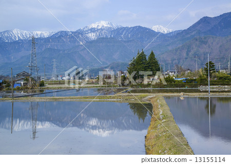 水稻種植前的安曇野 13155114