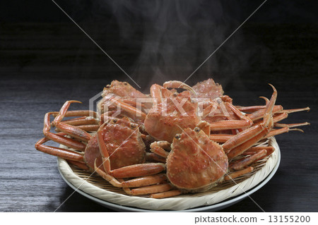 塞西莉亞螃蟹 塞西莉亞螃蟹 13155200