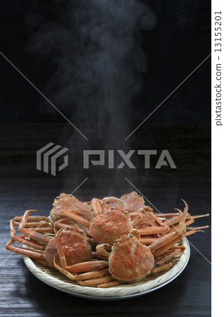 塞西莉亞螃蟹 塞西莉亞螃蟹 13155201