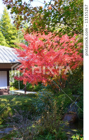 Autumn's Townscape Poetry Izumikaku Autumn's Townscape Poetry Izumikaku 13155267