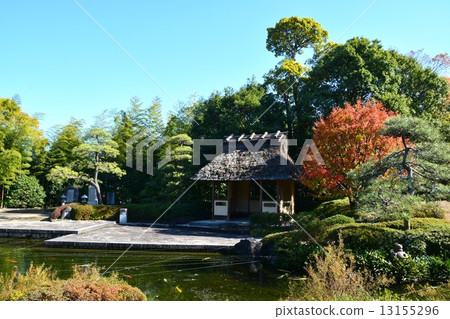 Jitsuyamaen in autumn 13155296