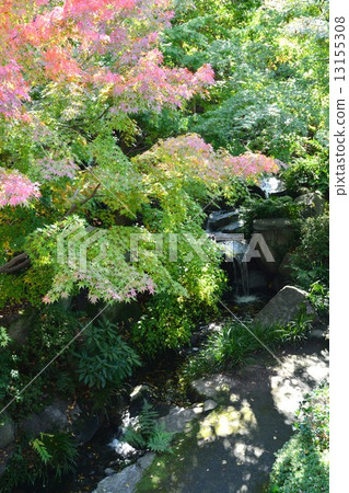 Jitsuyamaen in autumn 13155308
