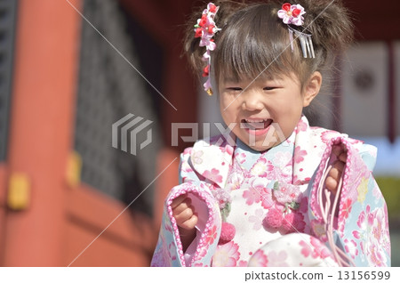 Shichigosan 13156599