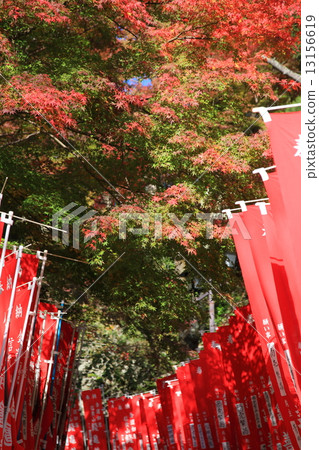 Shinzumi Asako Sonokoji Shinzumi Asako Sonokoji 13156619
