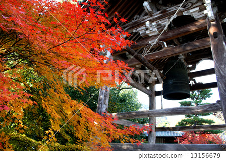 Komyoji寺秋葉 13156679