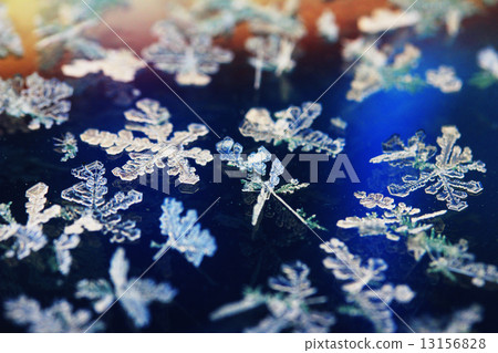 Frost Frost 13156828