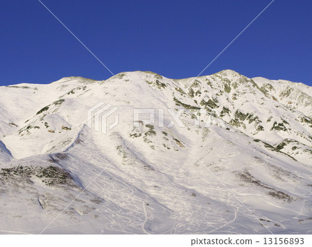 馬刺吸引了大島山 13156893