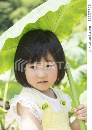 Big umbrella 13157706