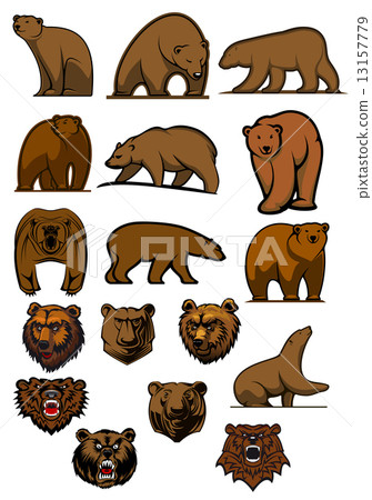 Grizzly and brown bear characters 13157779