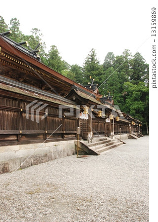 Kumano main shrine's main hall (Wakayama prefecture Tanabe shrine main shrine) Kumano main shrine's main hall (Wakayama prefecture Tanabe shrine main shrine) 13159869