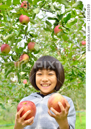 A girl who enjoys apple hunting A girl who enjoys apple hunting 13160289