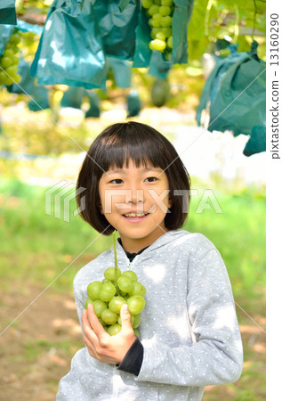 Girls enjoying grape hunting 13160290