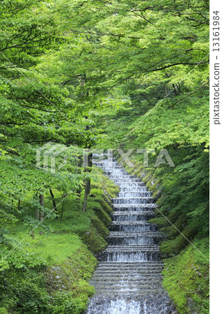 Ushibushi River flowing through fresh green French style staircase 13161984